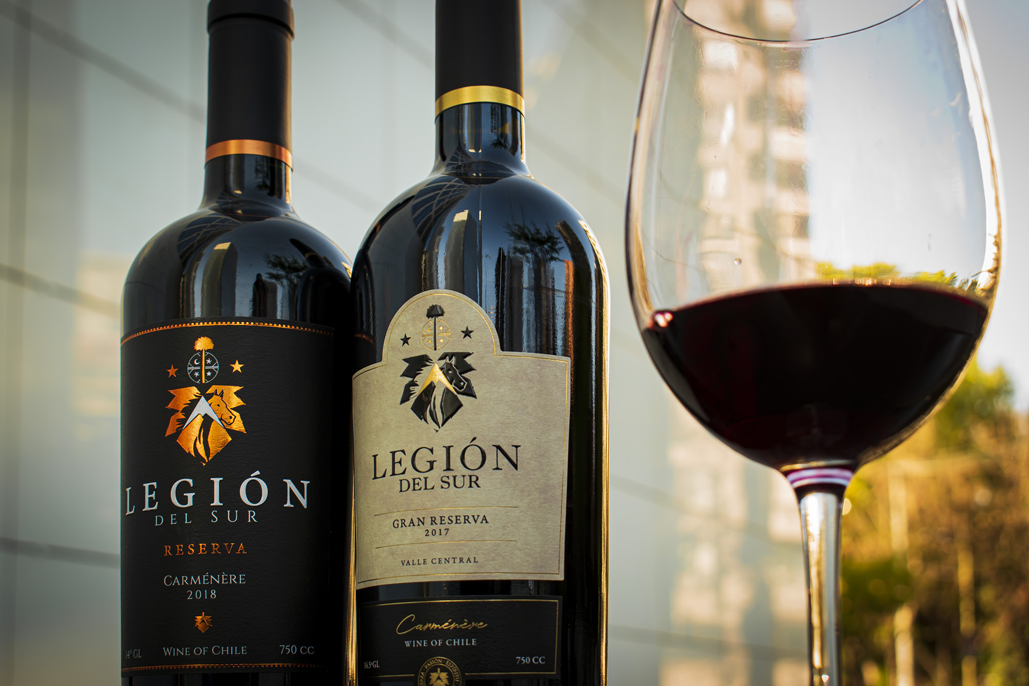 Legión del Sur